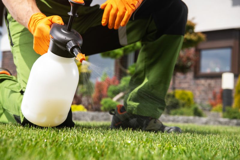 Lawn Spraying