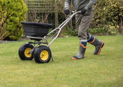 Yard Improvement Service in Honolulu, HI
